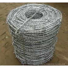 Hot-Dipped Galvanized Barbed Wire in Good Quality